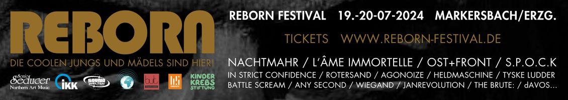 Interview mit Daniel Gierke zum Reborn Festival 2024